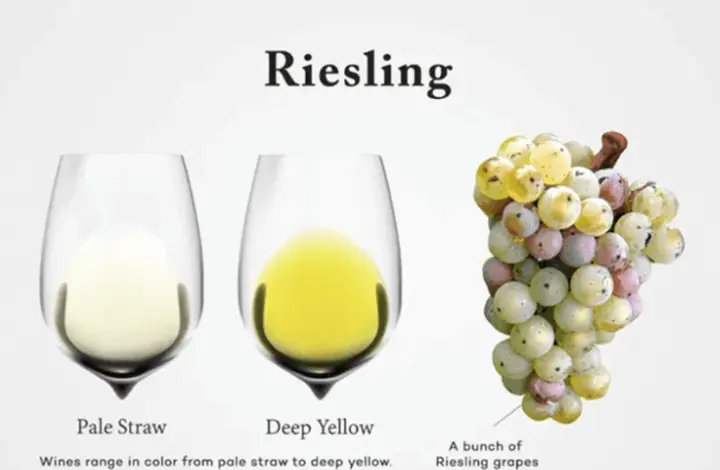 Riesling wines to taste at the Barossa Vintage Festival