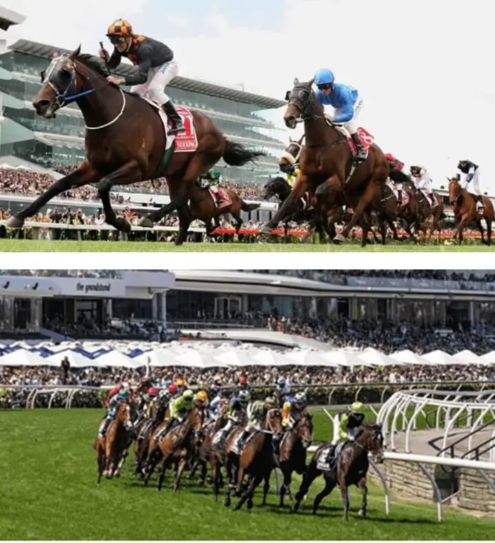 Must-go Australia Festivals : Melbourne Cup