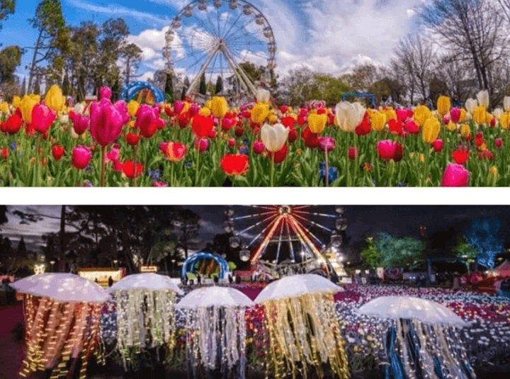 Must-go Australia Festivals : Floriade